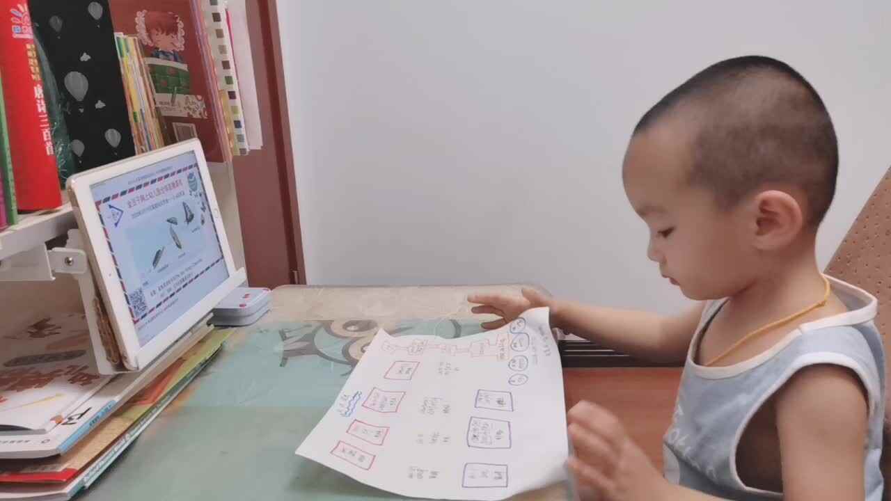 小A班-朱书安-英语《昆虫知识学习》2020.5.19.mp4