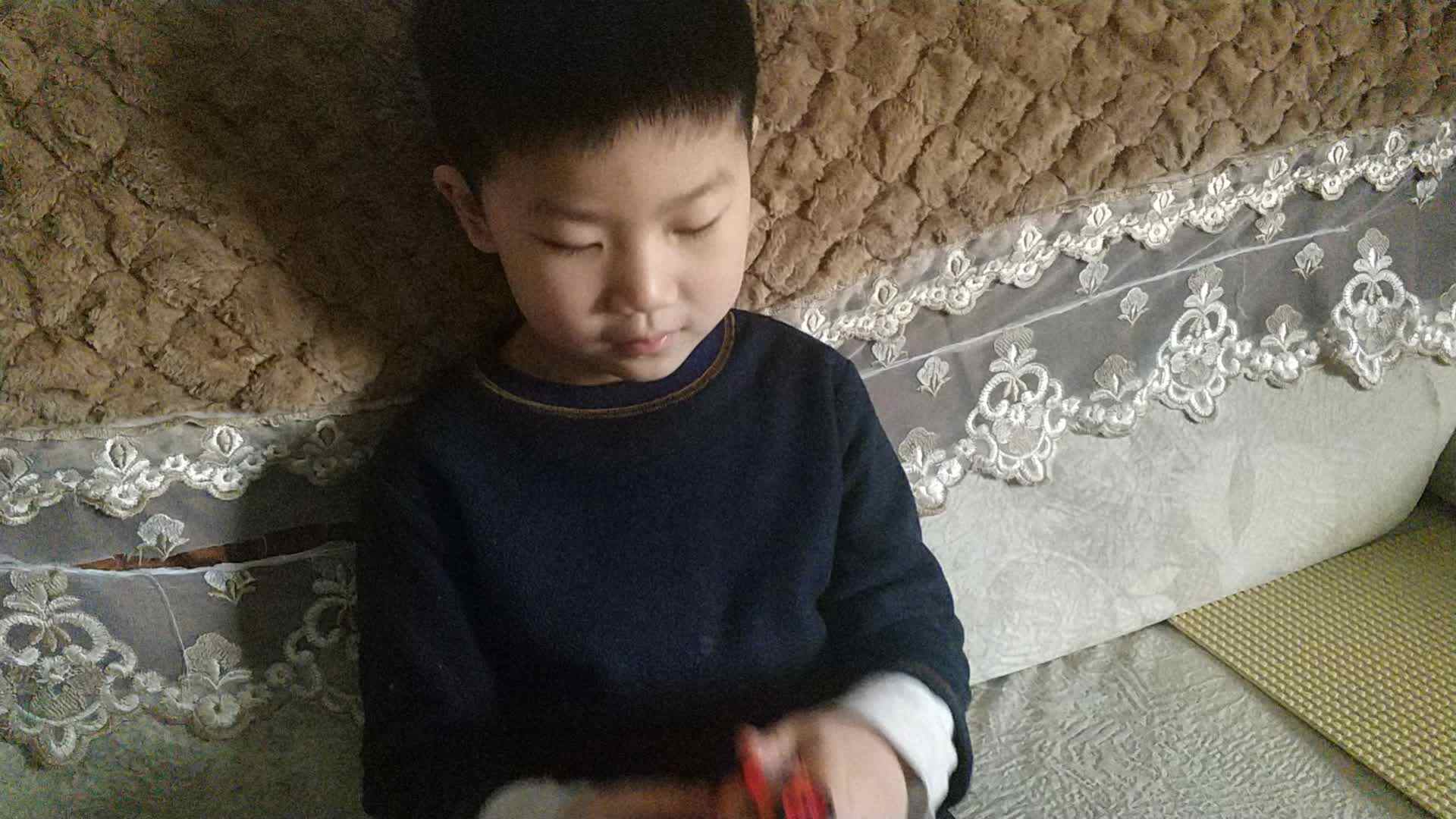 鸭子为什么会游泳