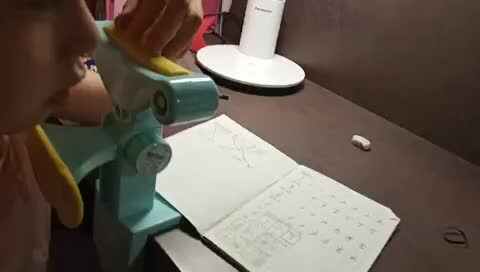 5.6家庭作业