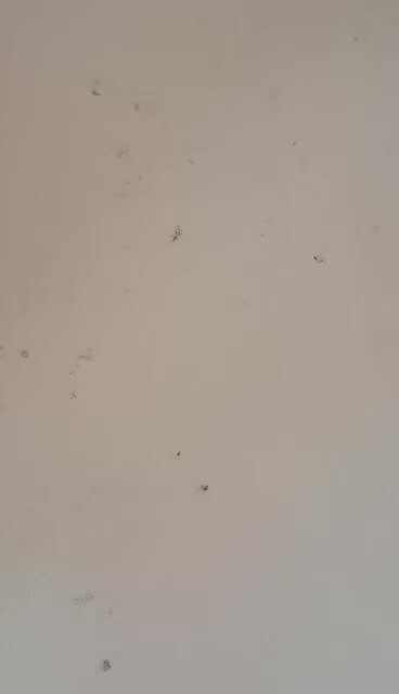 识字卡2