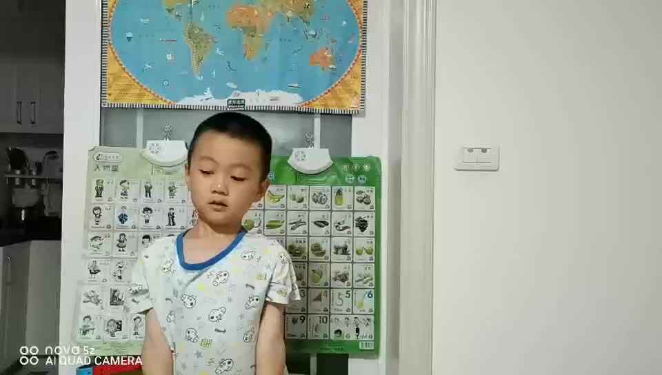 2020.05.19诸遇安-所见