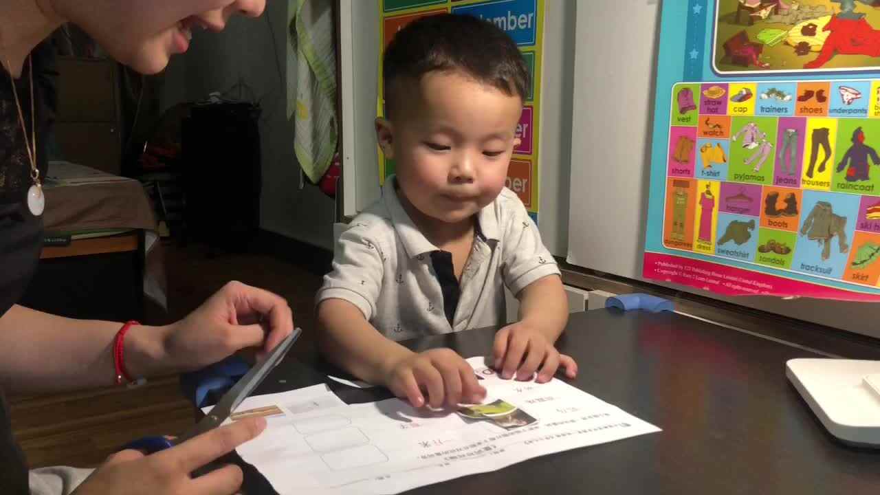 量词学习
