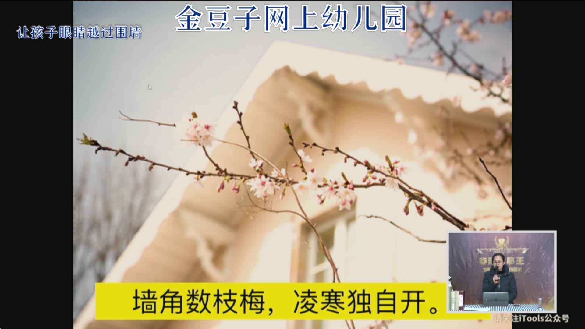 2020-2-3国学课堂——梅花（7）