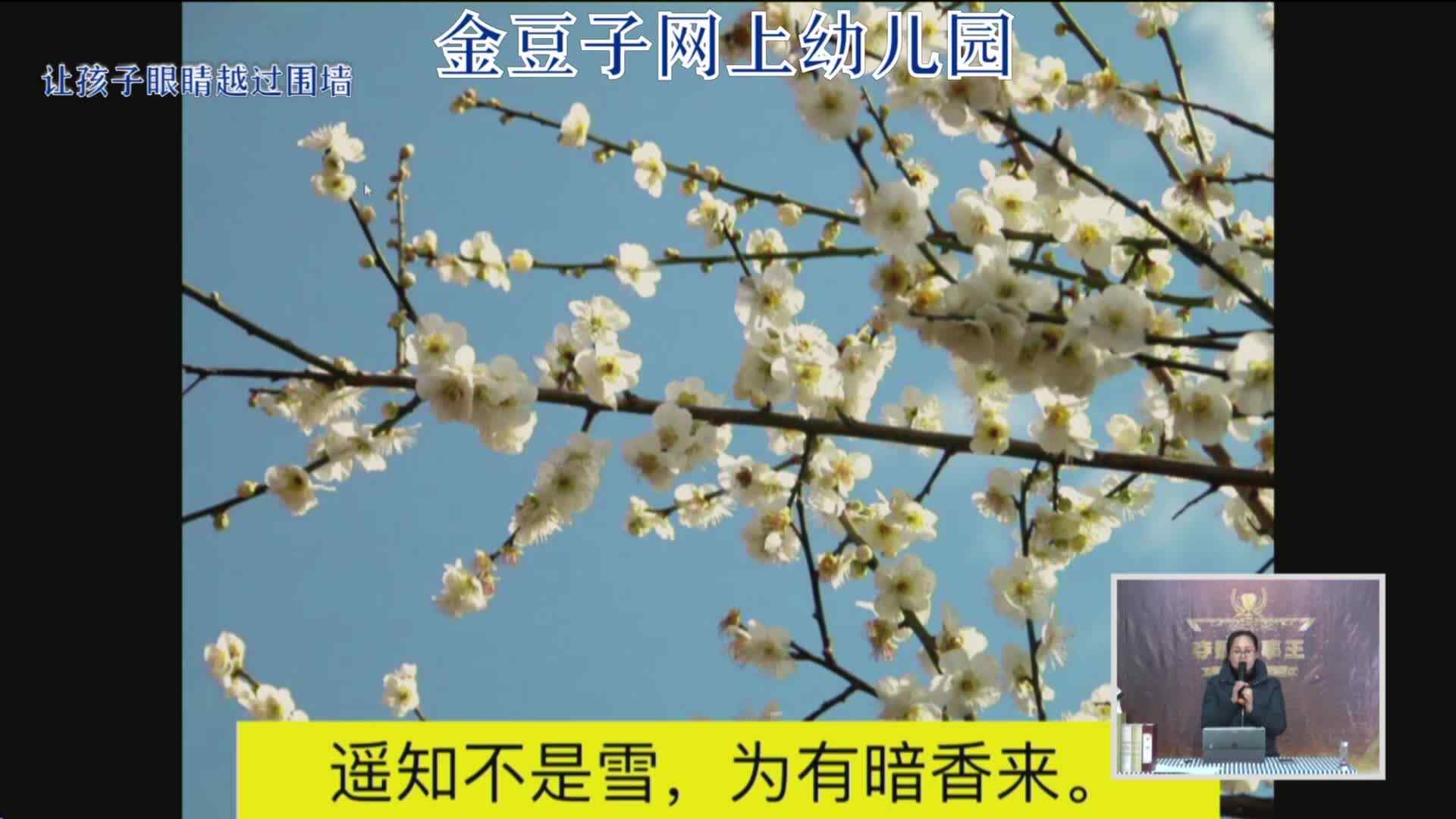 2020-2-3国学课堂——梅花（8）