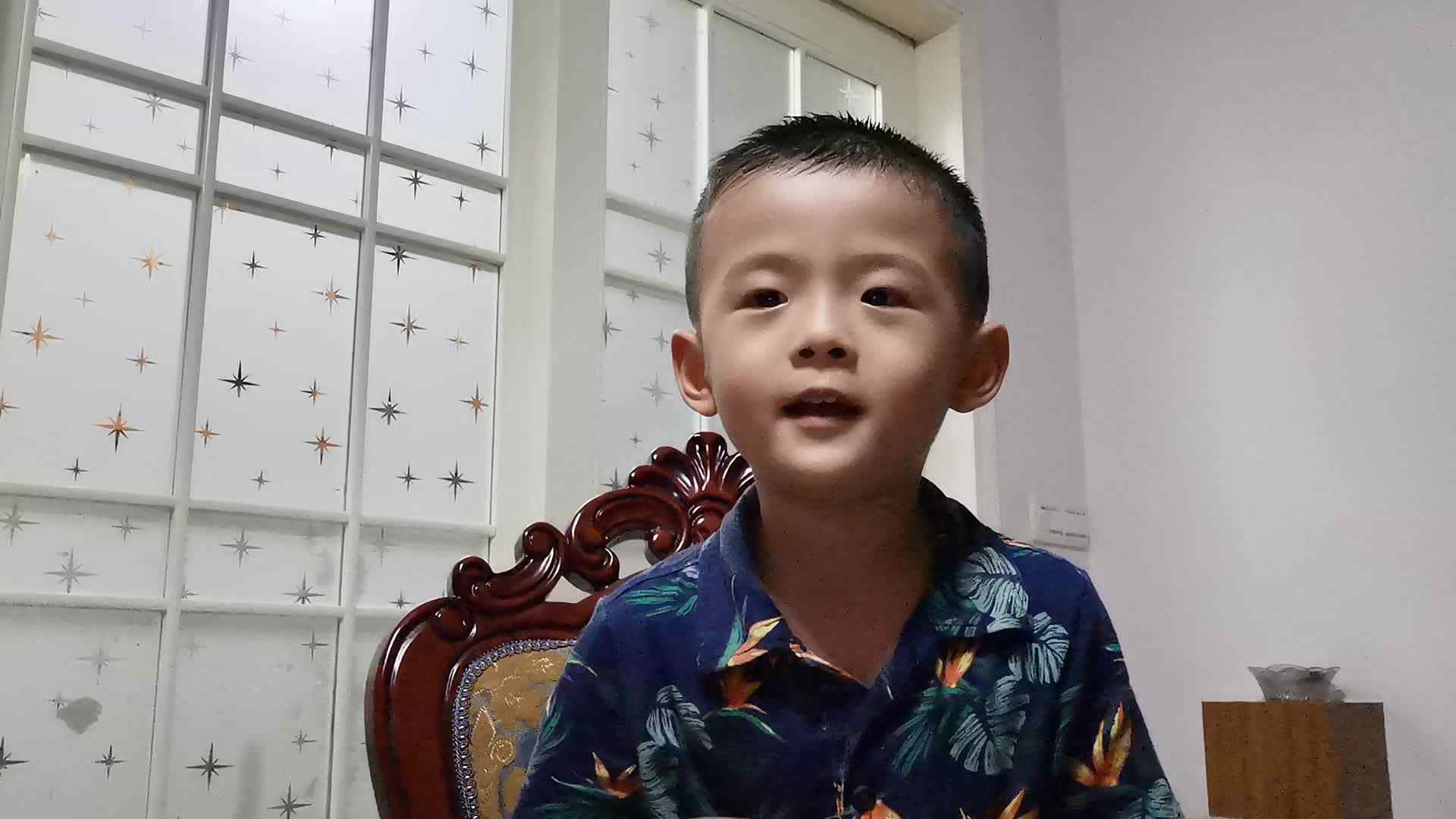 中C班潘柏宇《天净沙秋思》