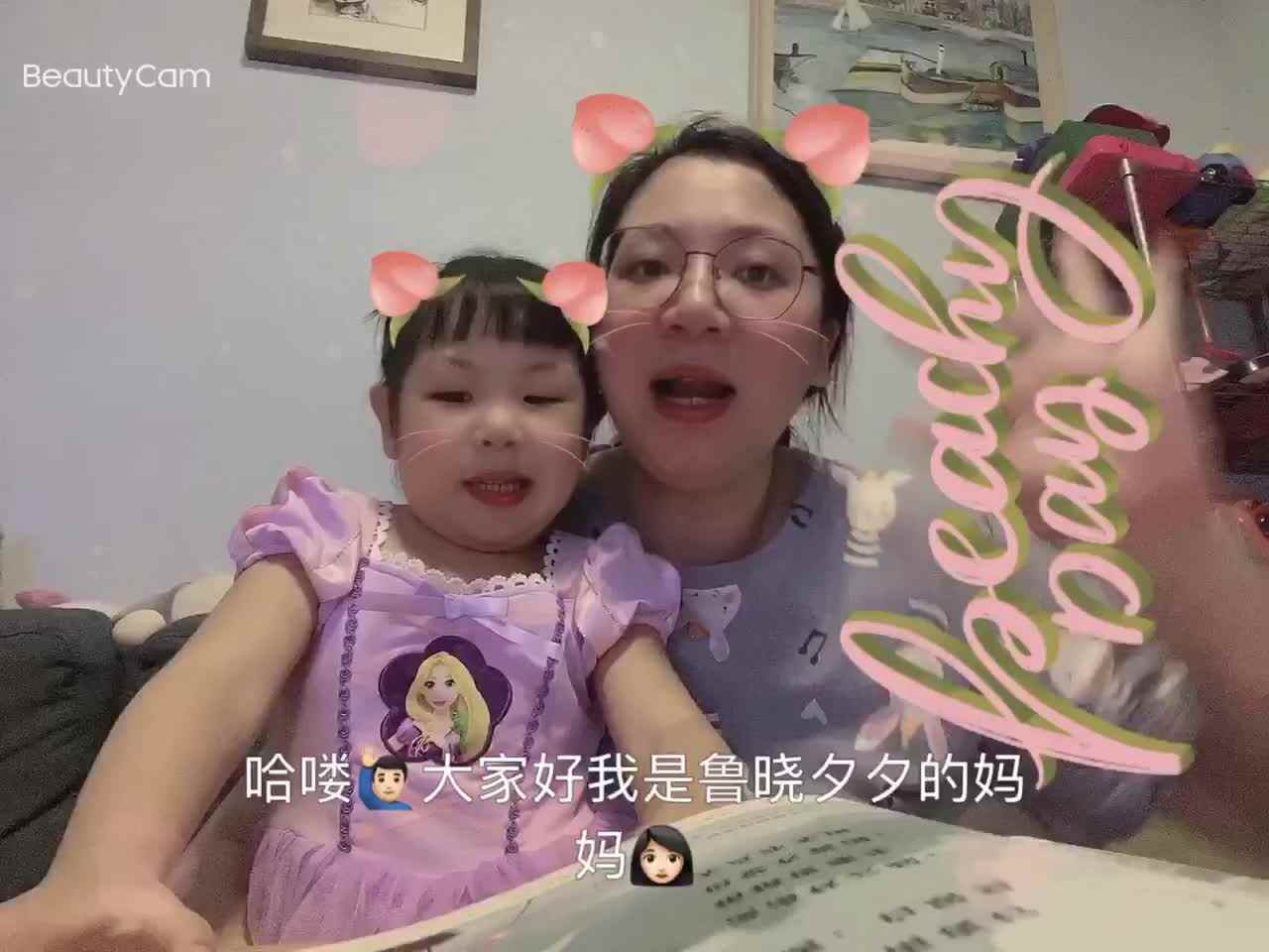 古诗《微雨夜行》