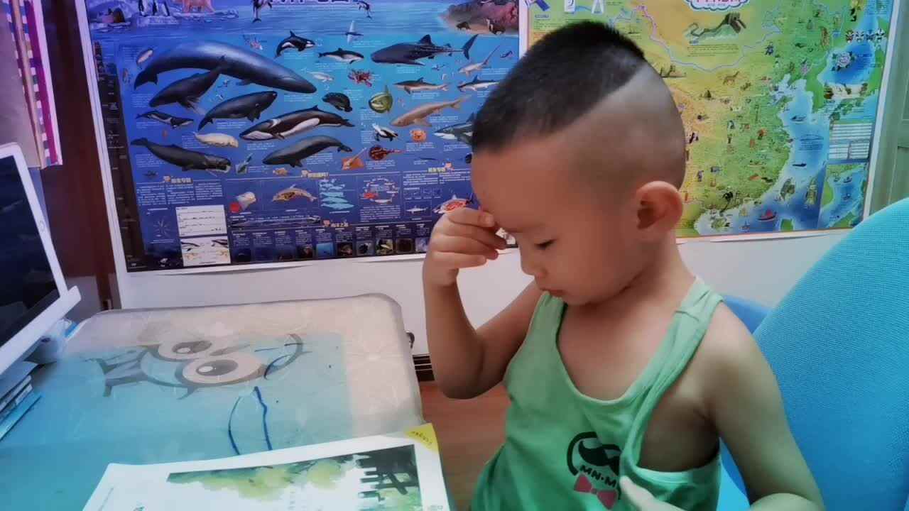 小A班～朱昱华~语文《城门城门几丈高》.mp4