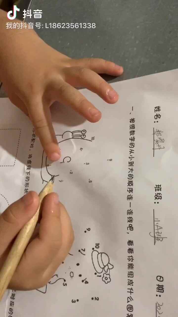 数字与形状