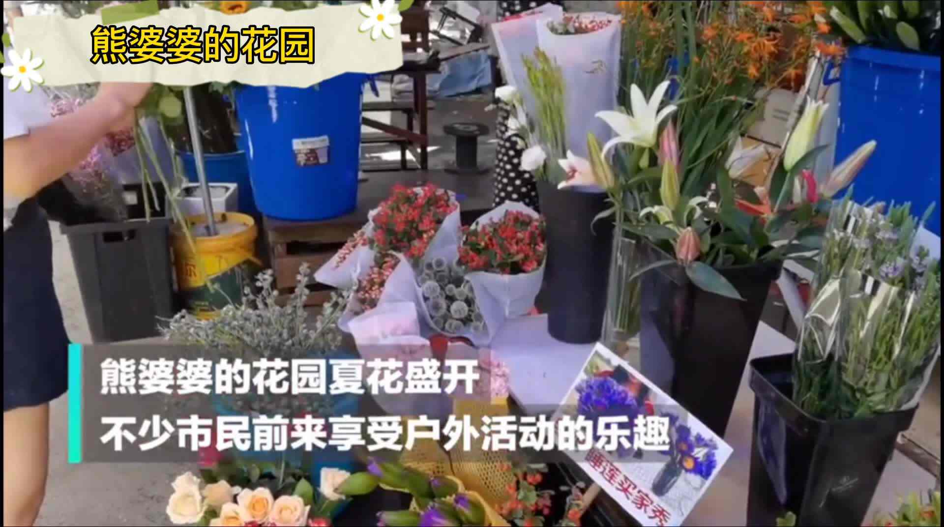 熊婆婆的花园