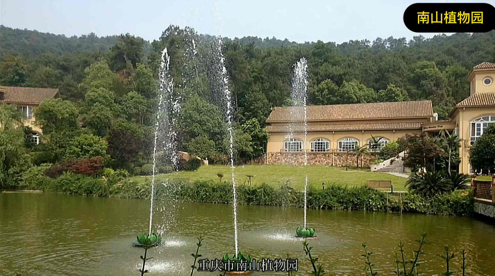 南山植物园.