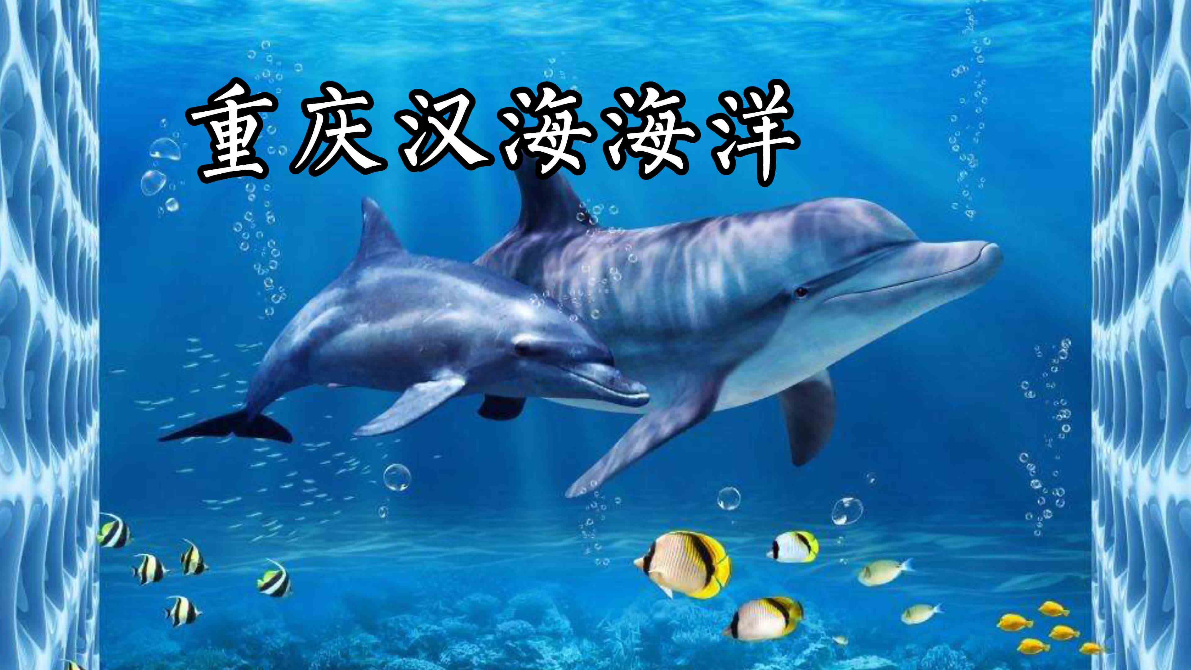 重庆汉海海洋公园