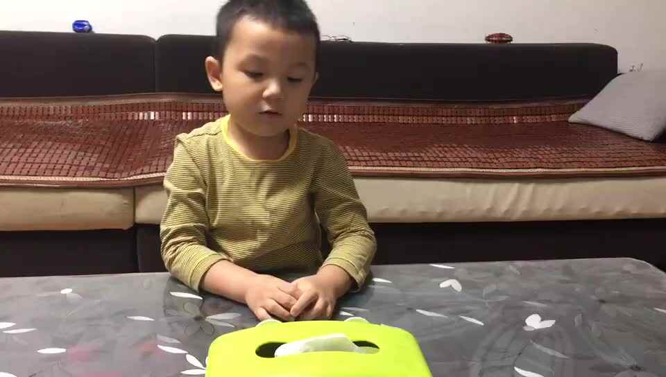观看《莱特兄弟》英语视频