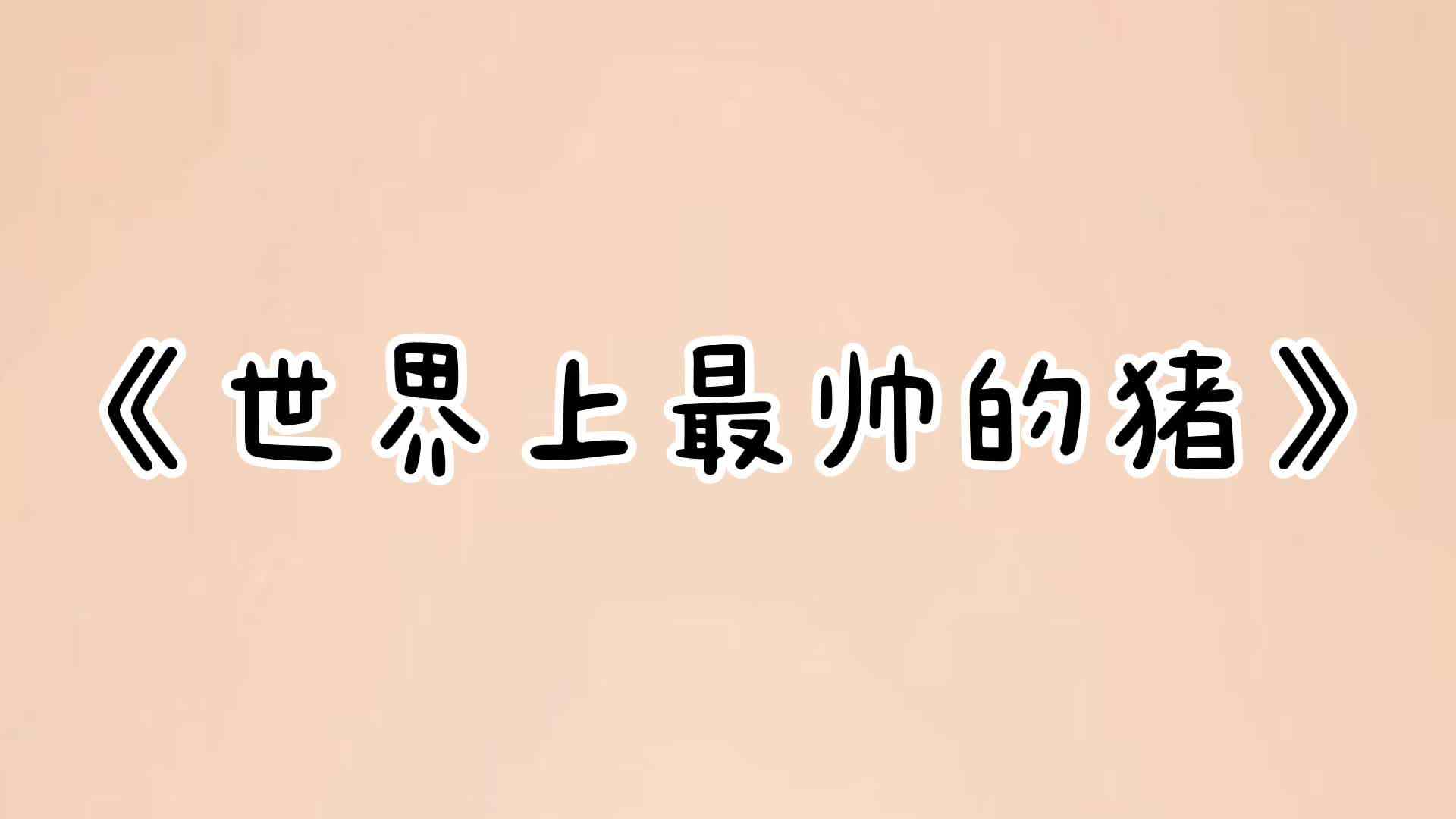 数学绘本《世界上最帅的猪》