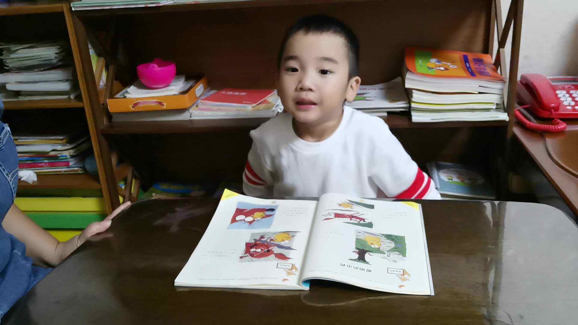 聪明的小鸡