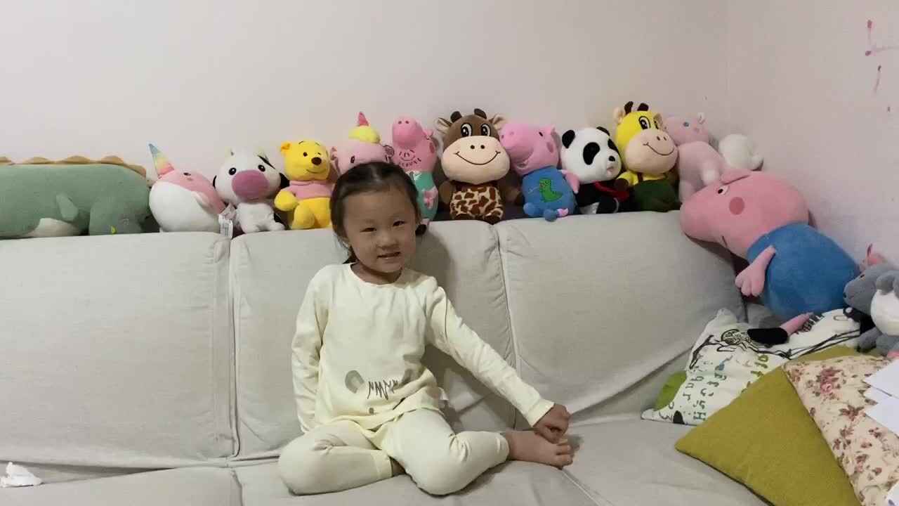 大C班魏凡雅《聪敏的小鸡》