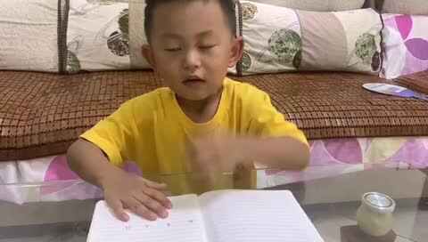20200909大c班丁陈一《识字》