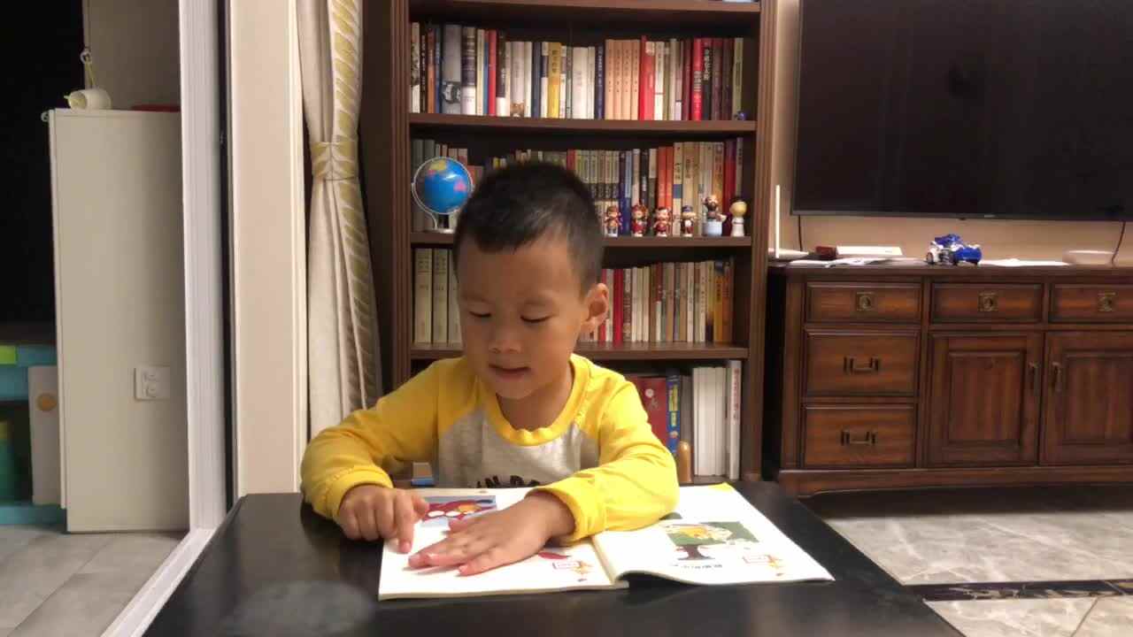 聪明的小鸡