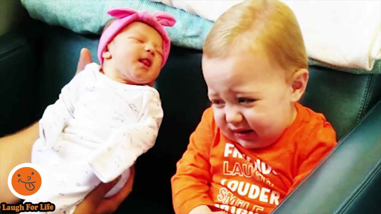 Hilarious Sibling Rivalries 搞笑兄弟姐妹之争