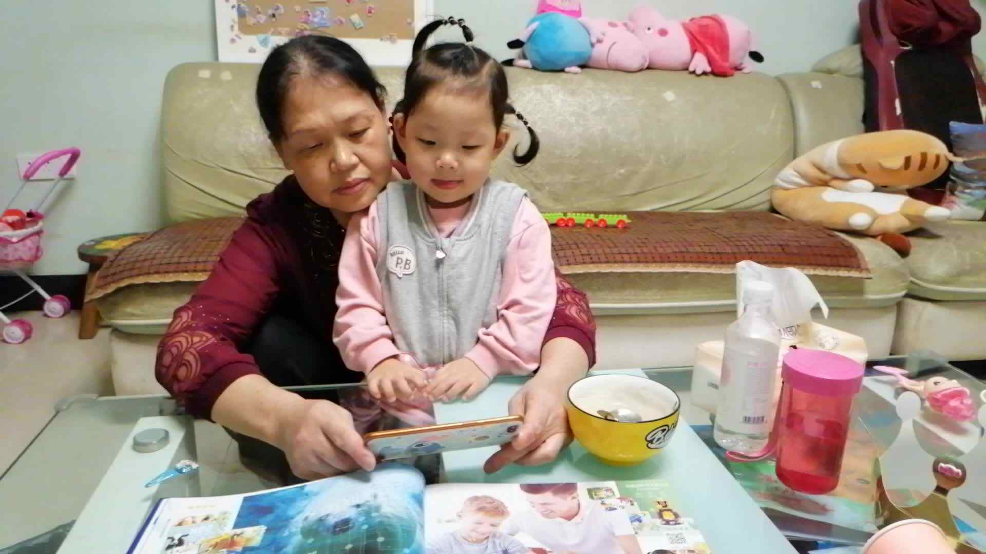 农场动物.mp4