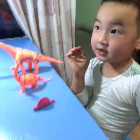 大小物品的分类