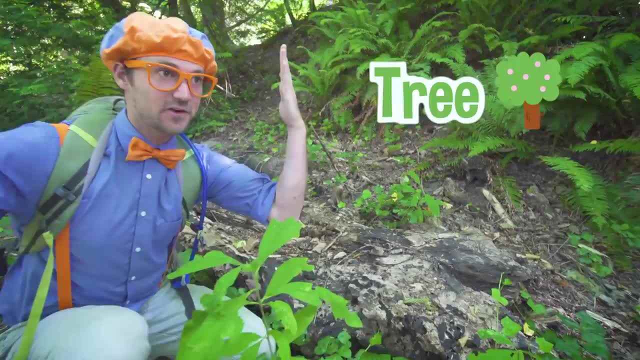 认识自然 Learning Nature On A Hike With Blippi