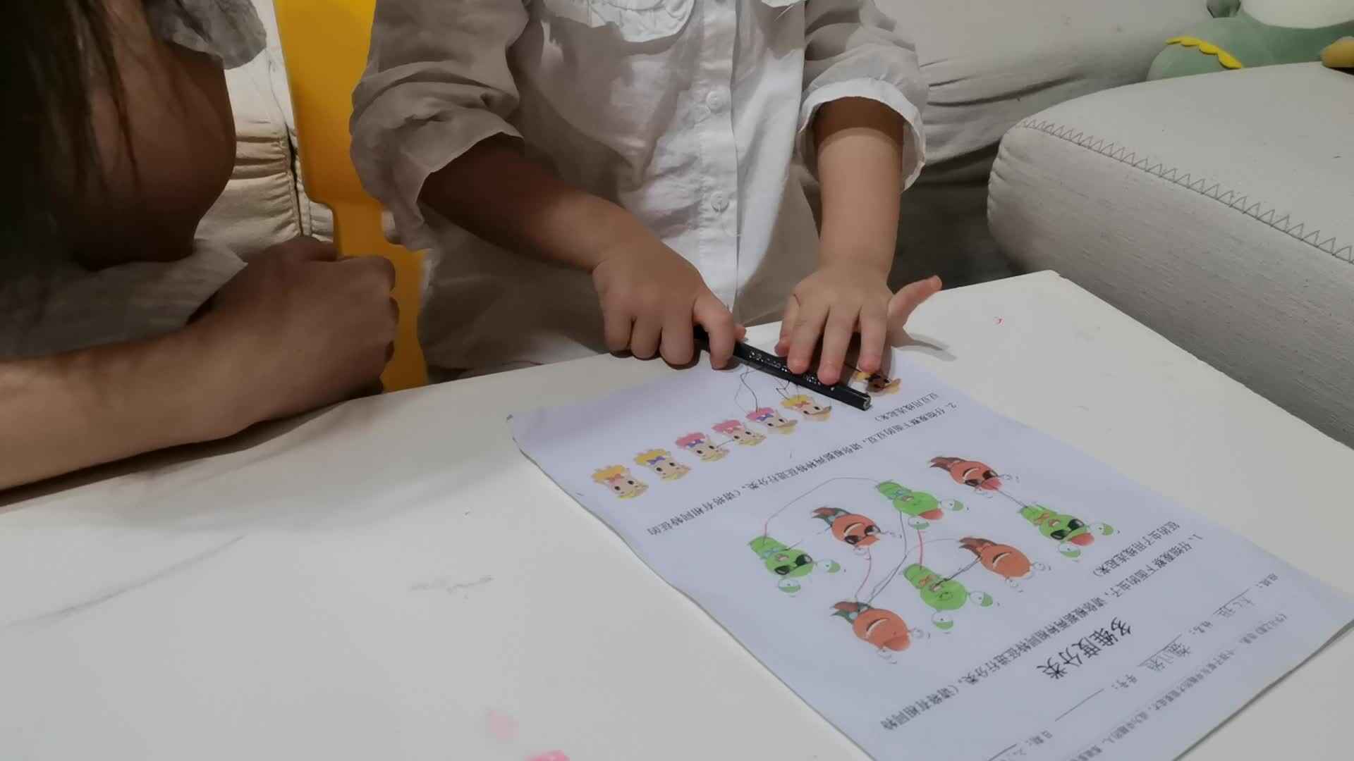 大C班 魏凡雅《多纬度分类》学习