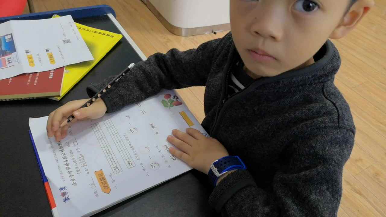 拼音综合模拟试卷—学前B班阳铭礼