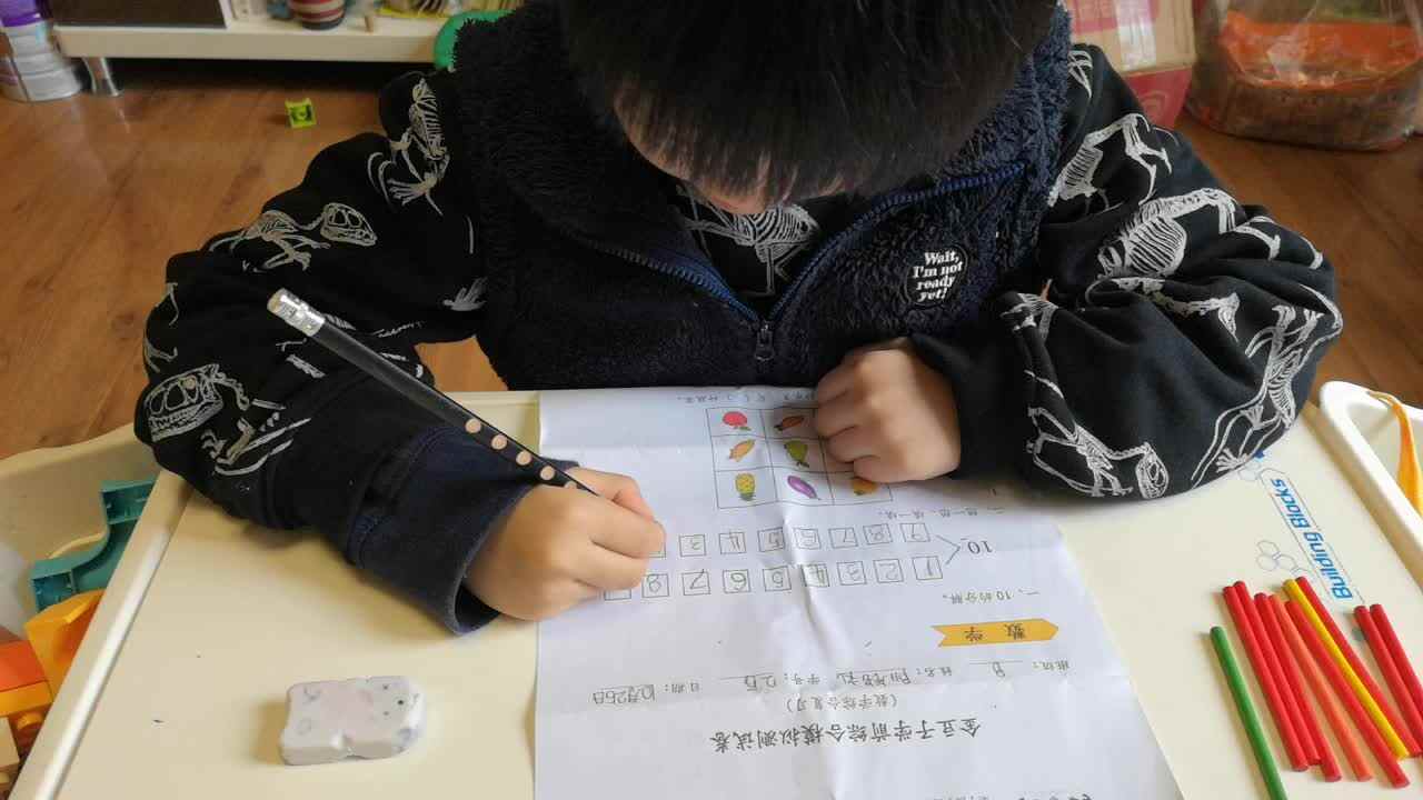 数学综合复习—学前B班阳铭礼