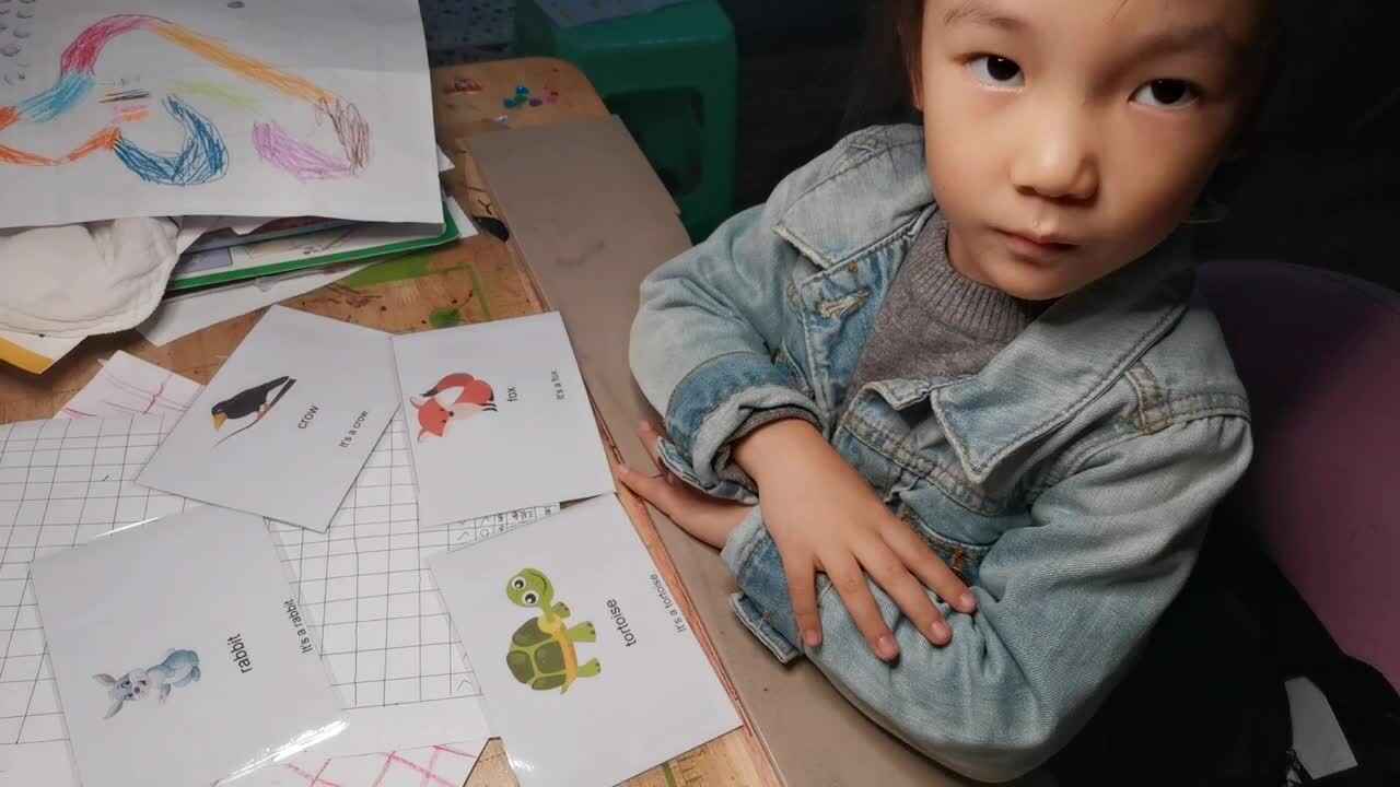 动物英语.mp4
