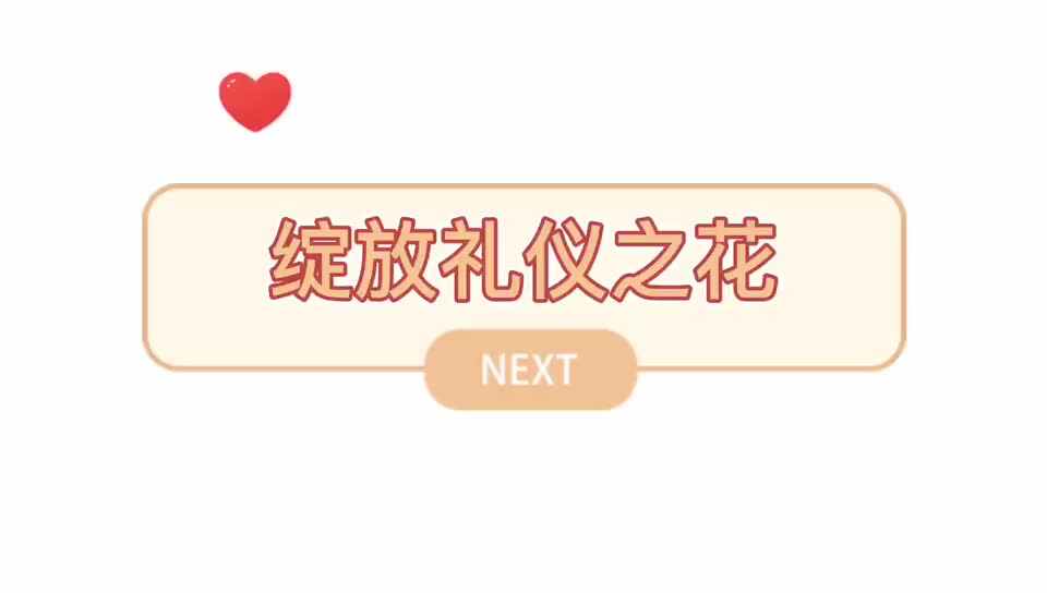 《礼仪小天使》