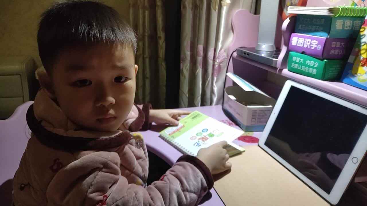 妈妈是一只鸟
