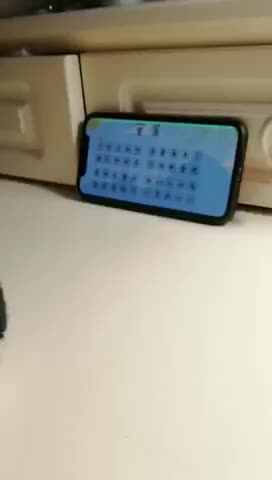 trim.A4AFE72B-7DA5-44A7-9C01-2032BF4779C0.MOV