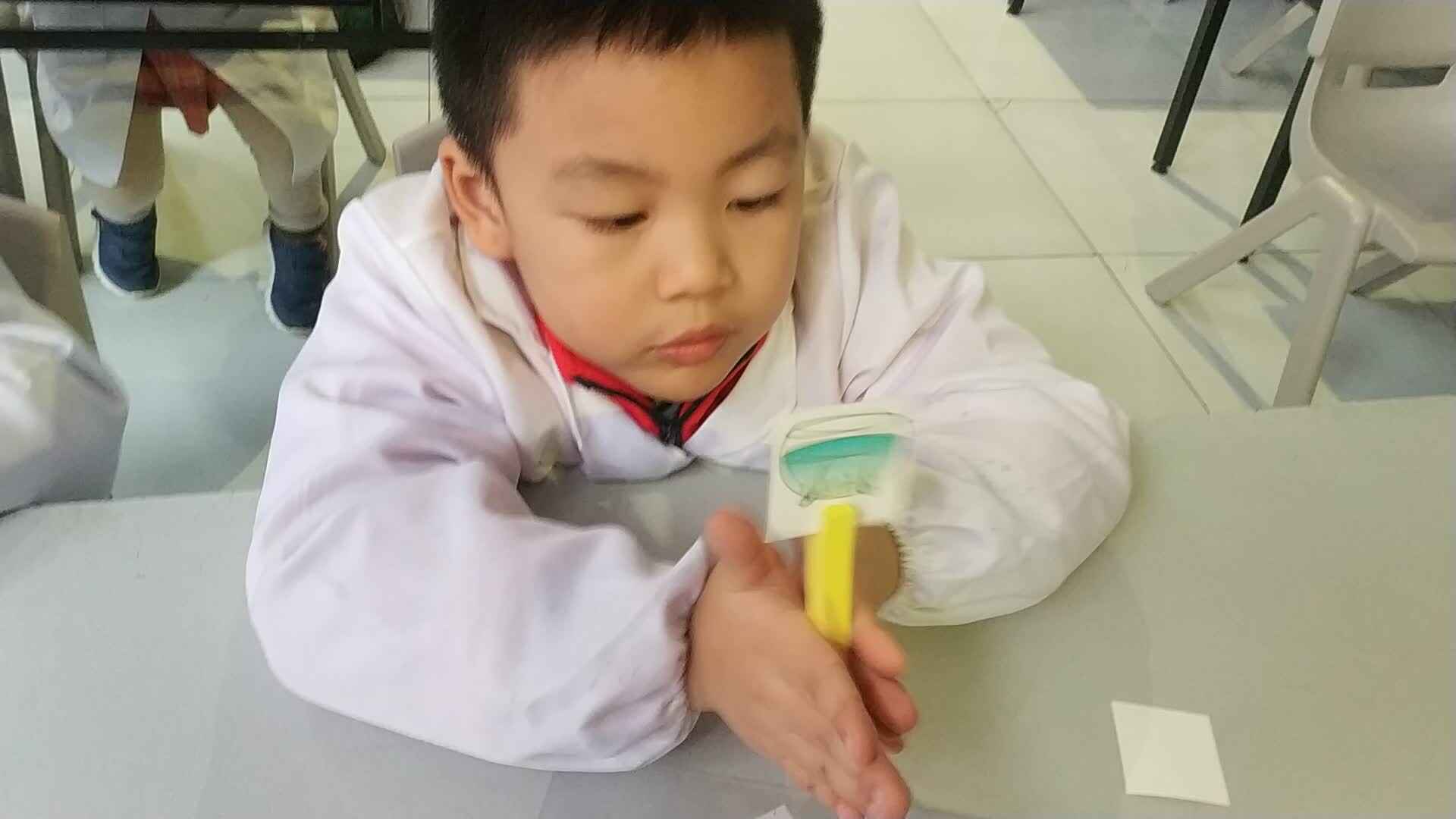 有趣的科学实验