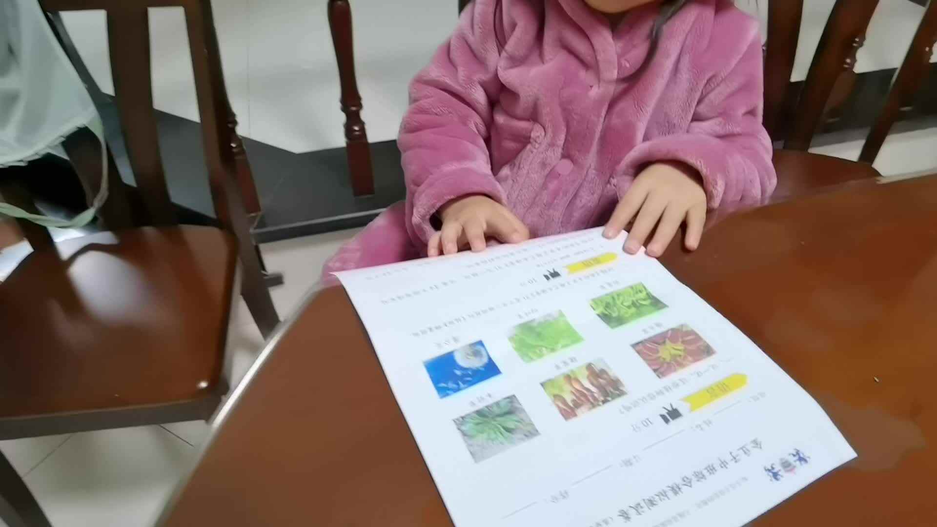 认识植物.mp4