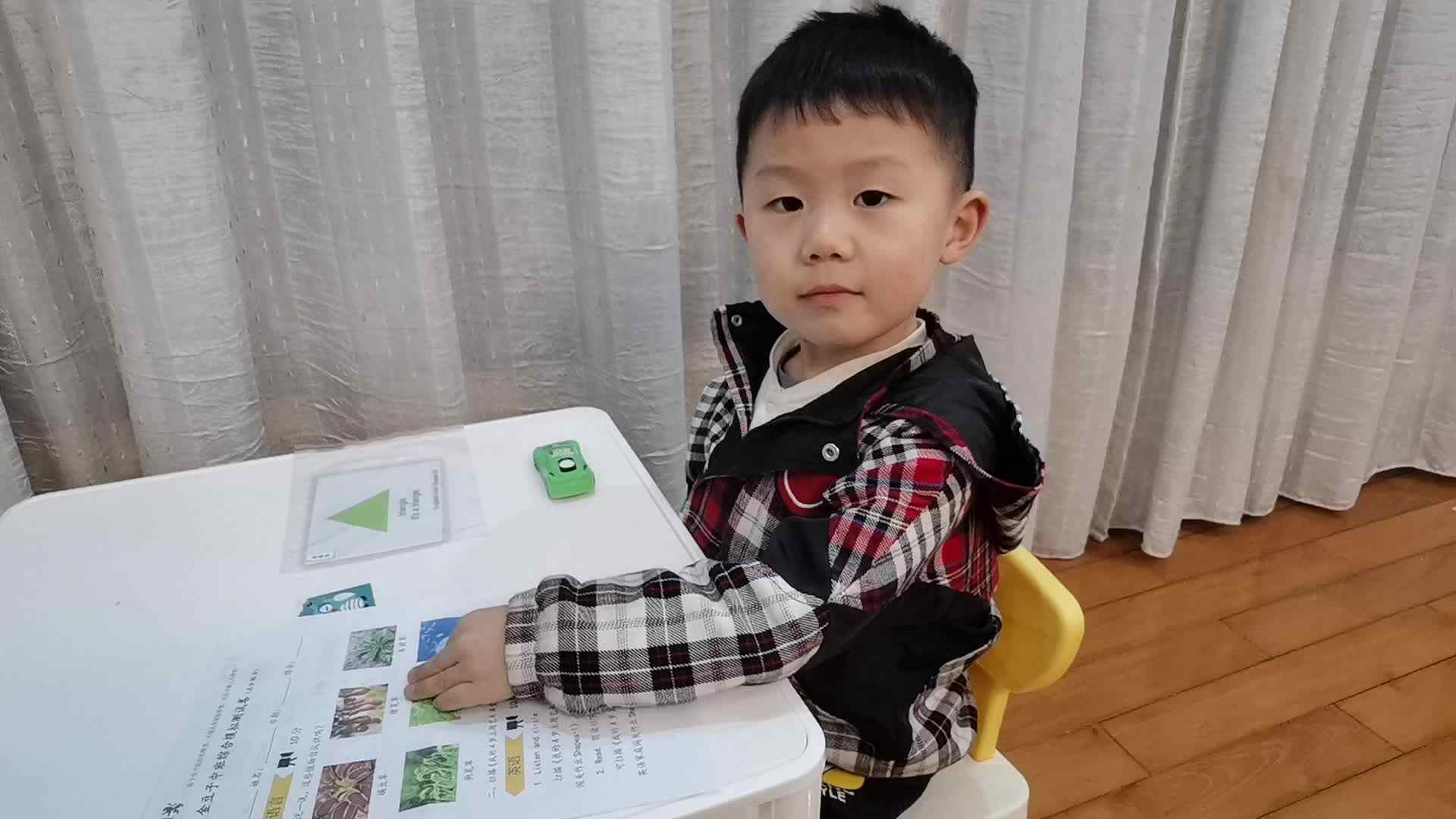 认识植物.mp4