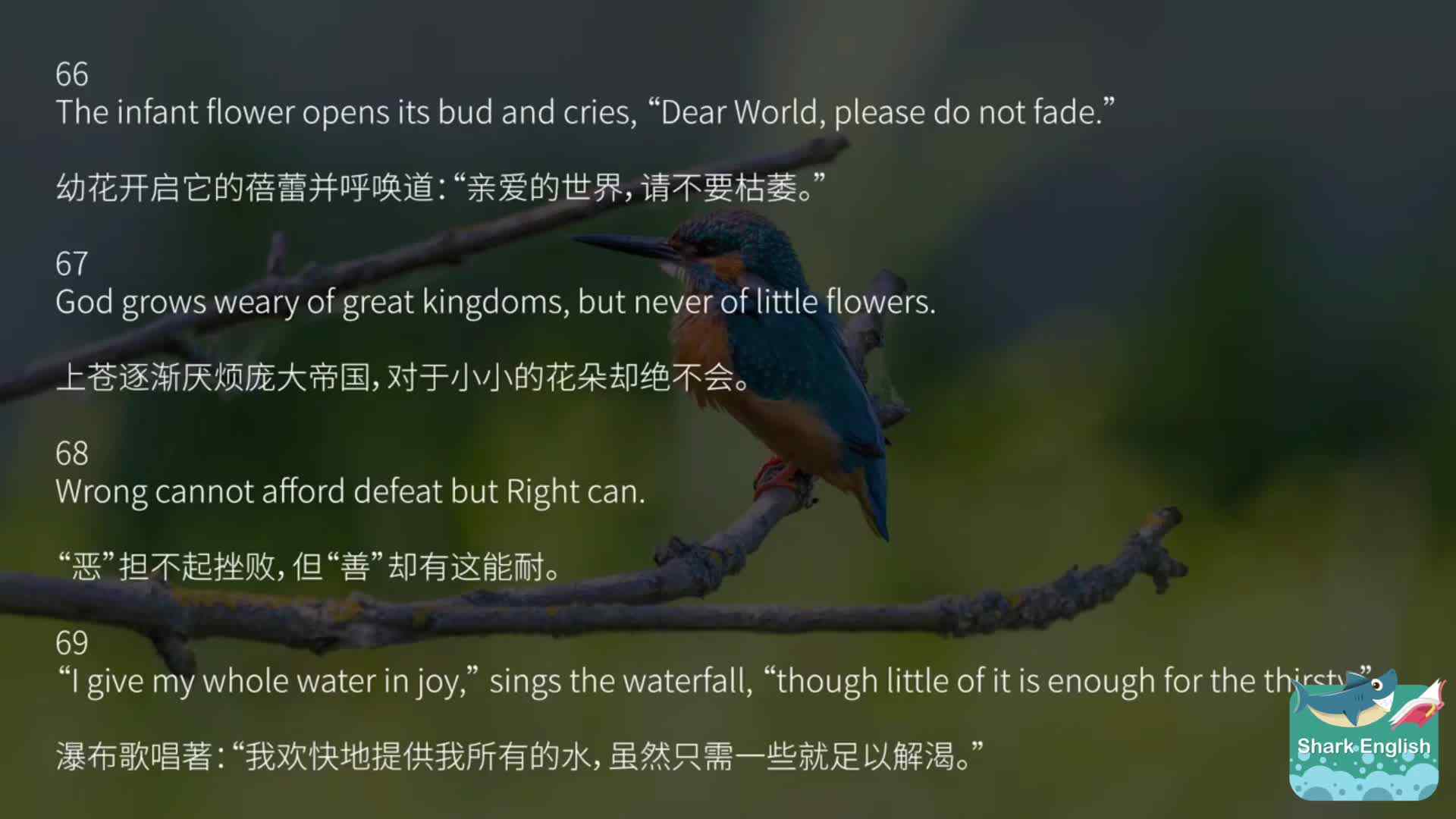 泰戈尔《飞鸟集》