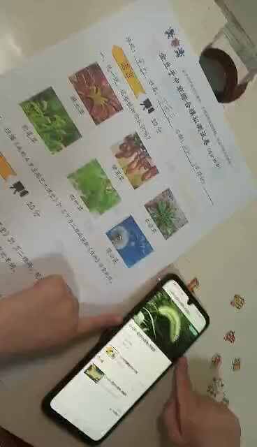 2023级B班20201121丁若言闯关练习.mp4