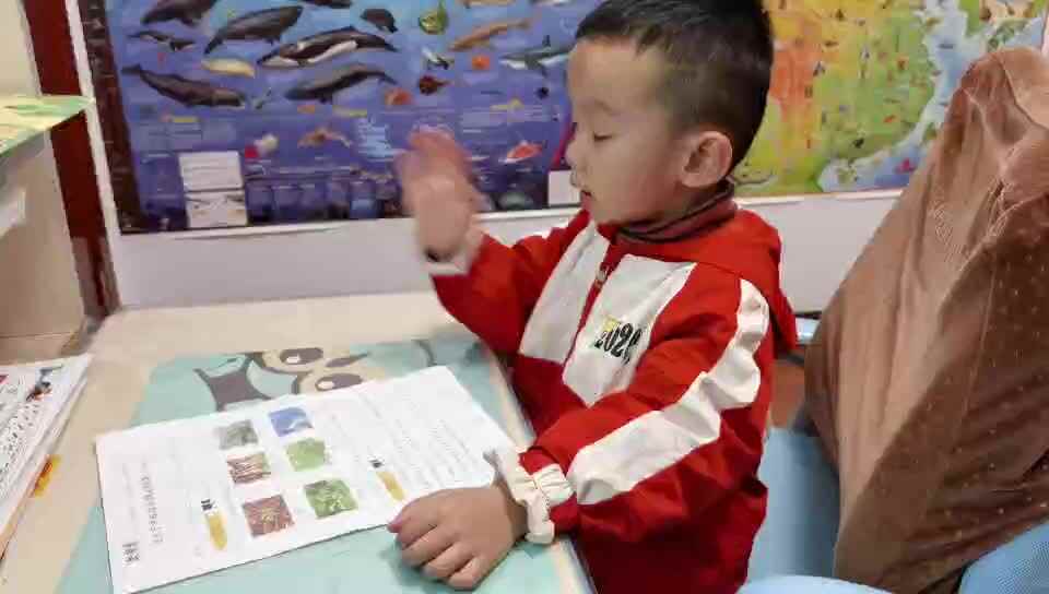 《认识植物》.mp4