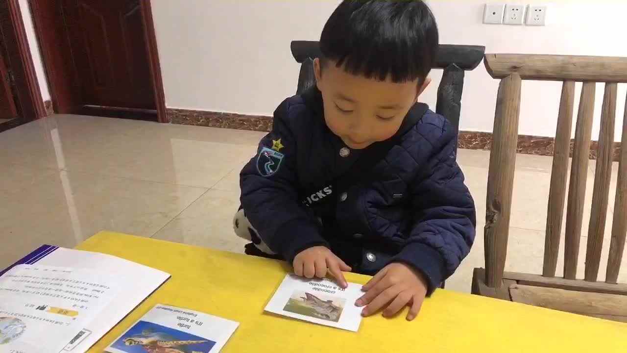 2023级B班20201128郑理瀚 阅读英语单词.MOV