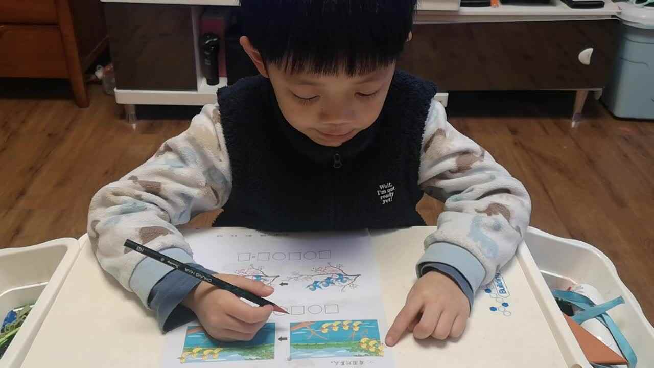 复习10以内混合加减-学前B班阳铭礼