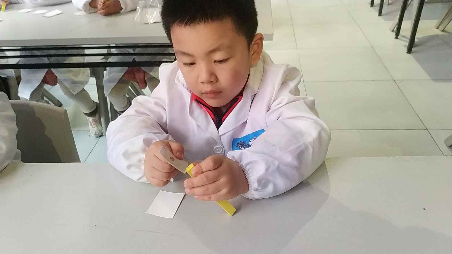 有趣的科学实验