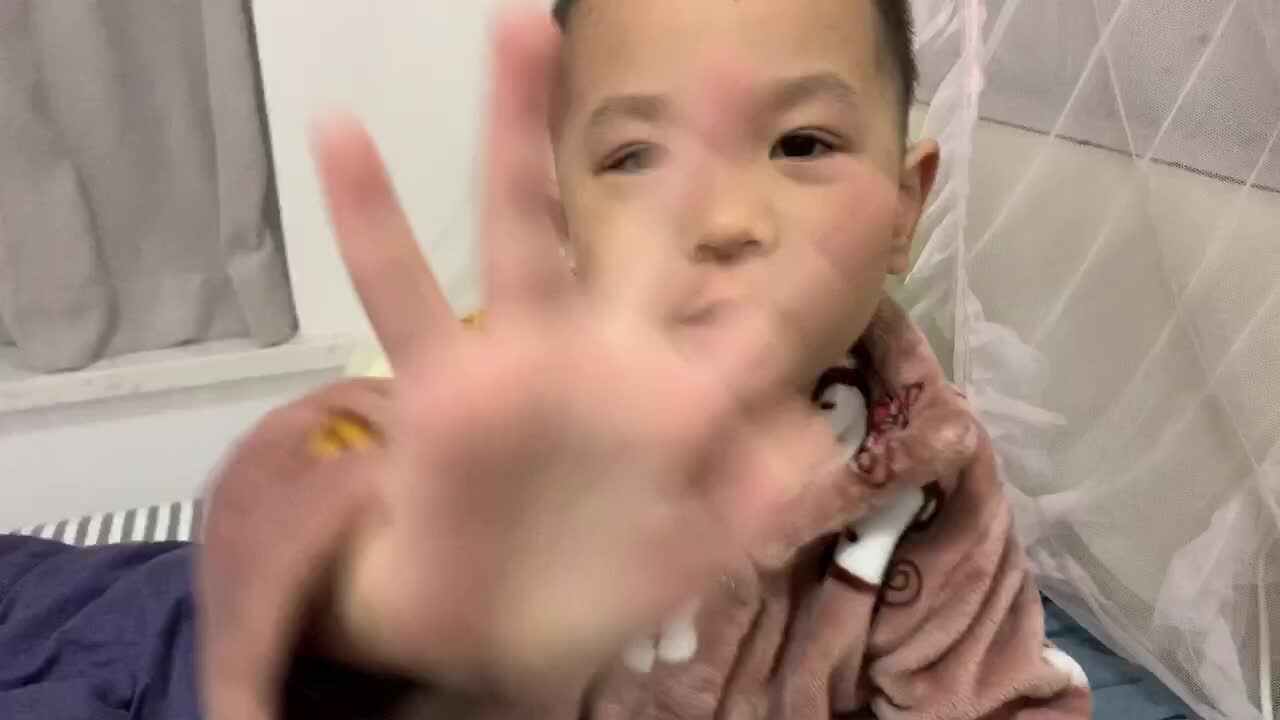 妈妈是一只鸟