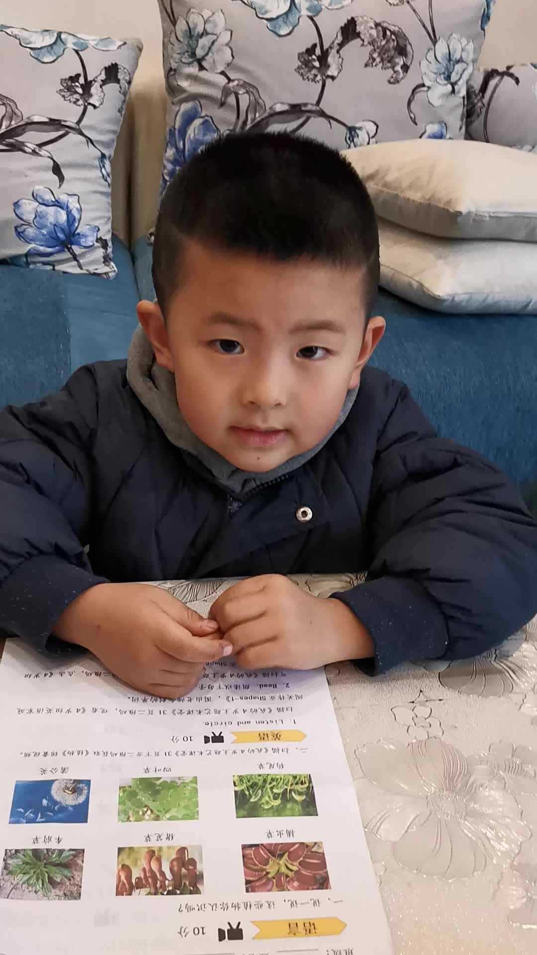 认识植物.mp4