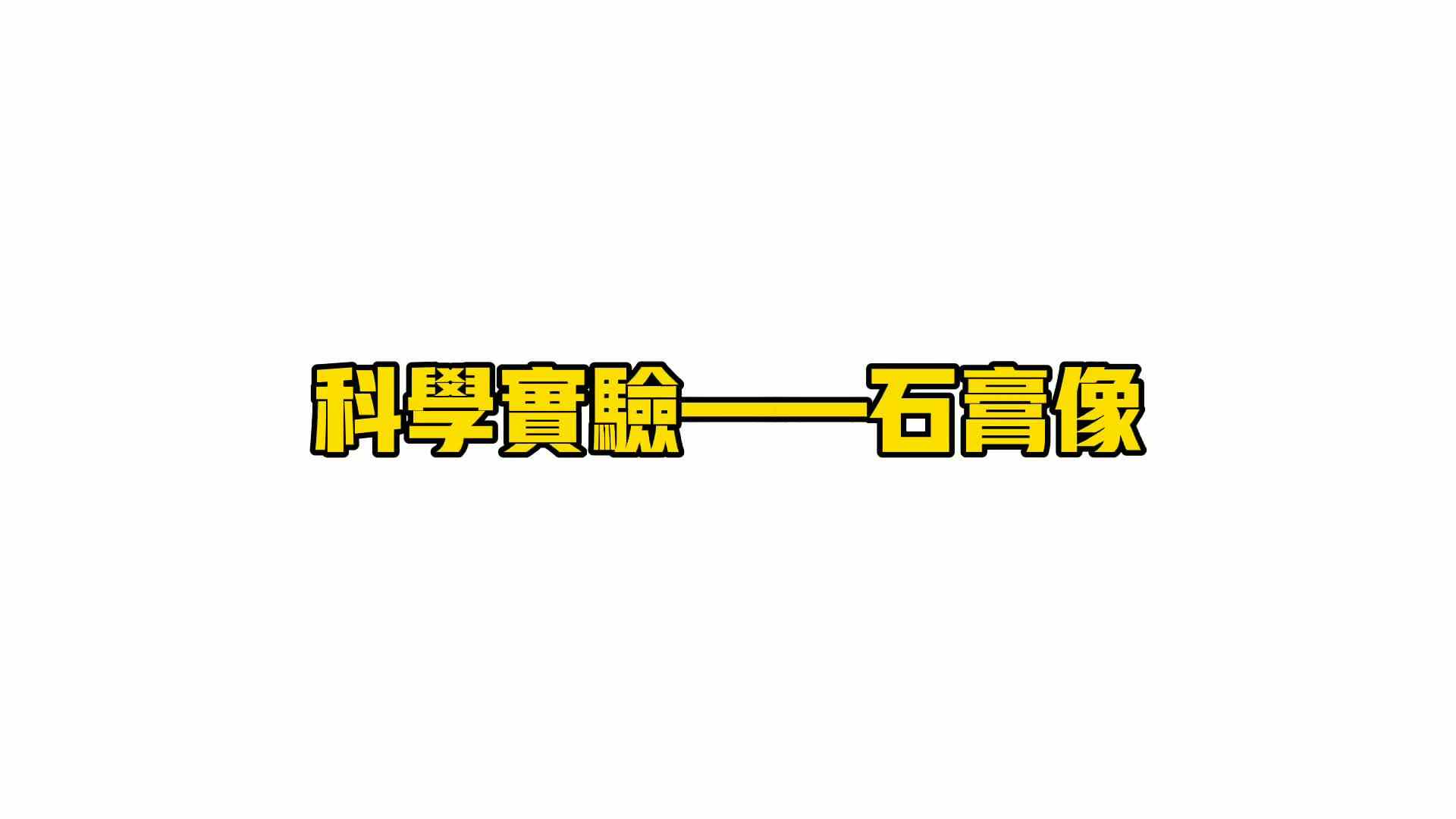 实验大班科学实验——石膏像