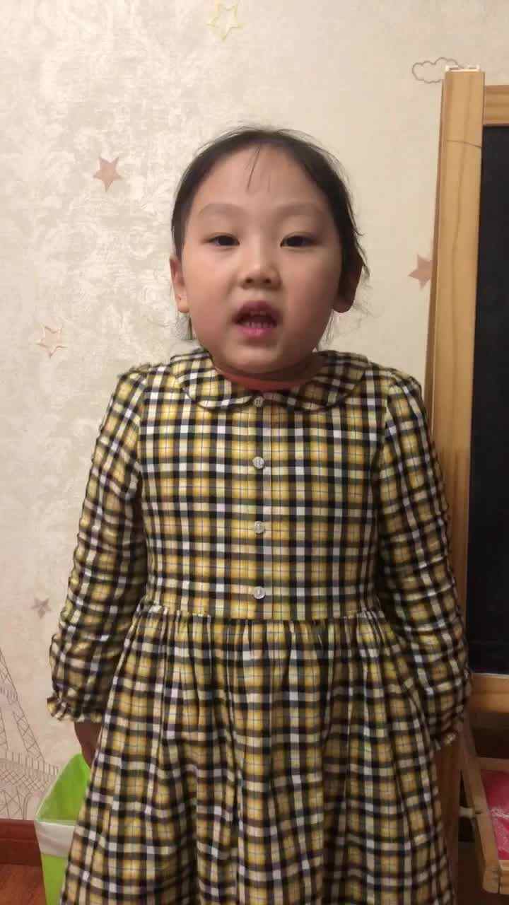 大C班李婧禾村夜、美丽的童话复习