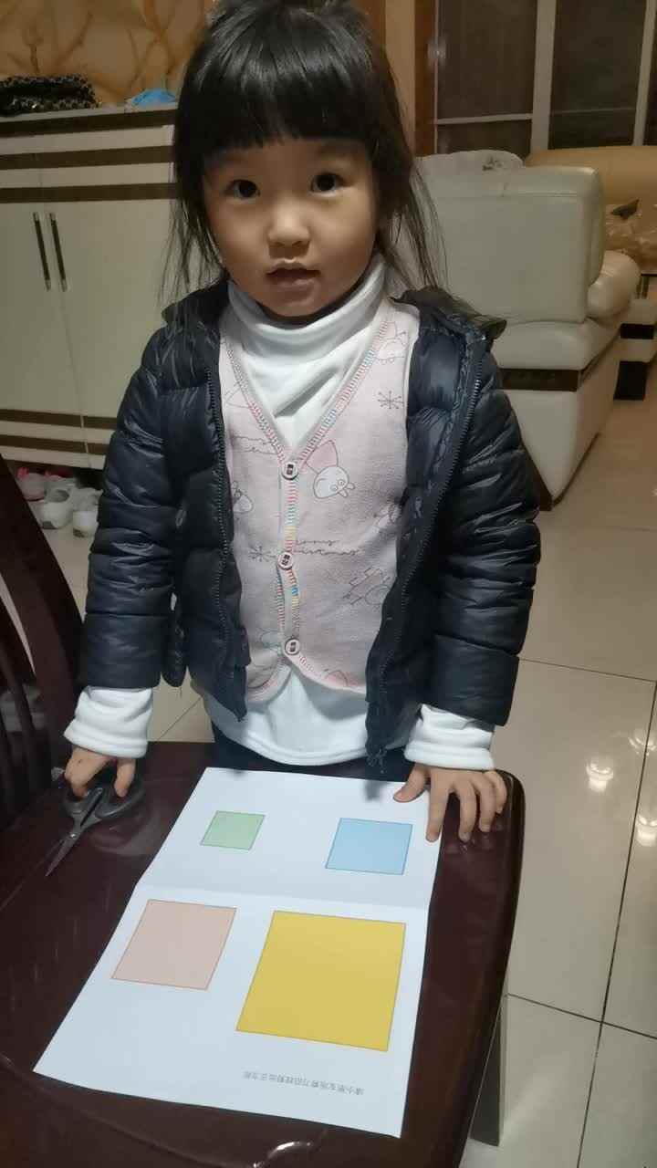 认识正方形