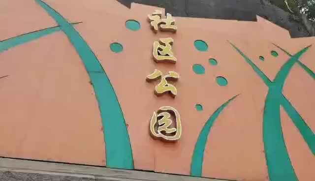 李思辰2020古诗词视频大赛《游子吟》.mp4
