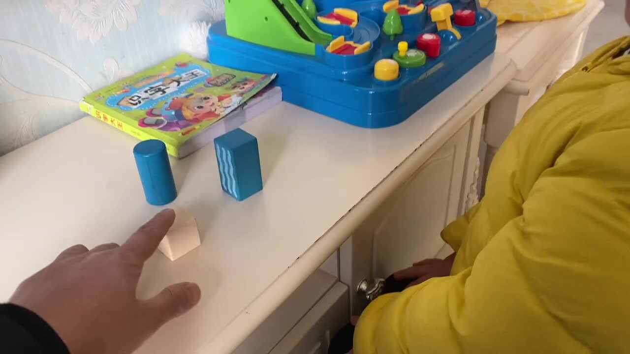 20201220大C班张睿瑾《搭积木玩具》