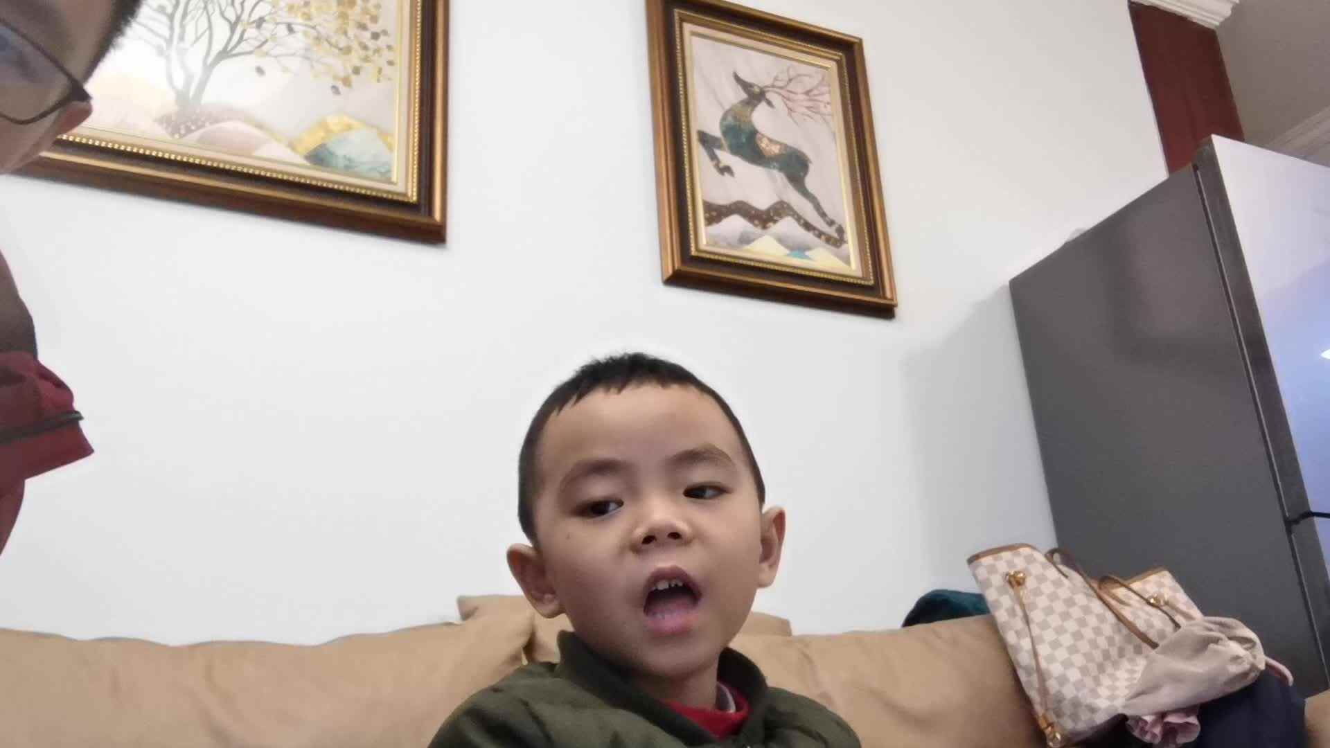 VID_20201206_大C班黄宇轩-农家