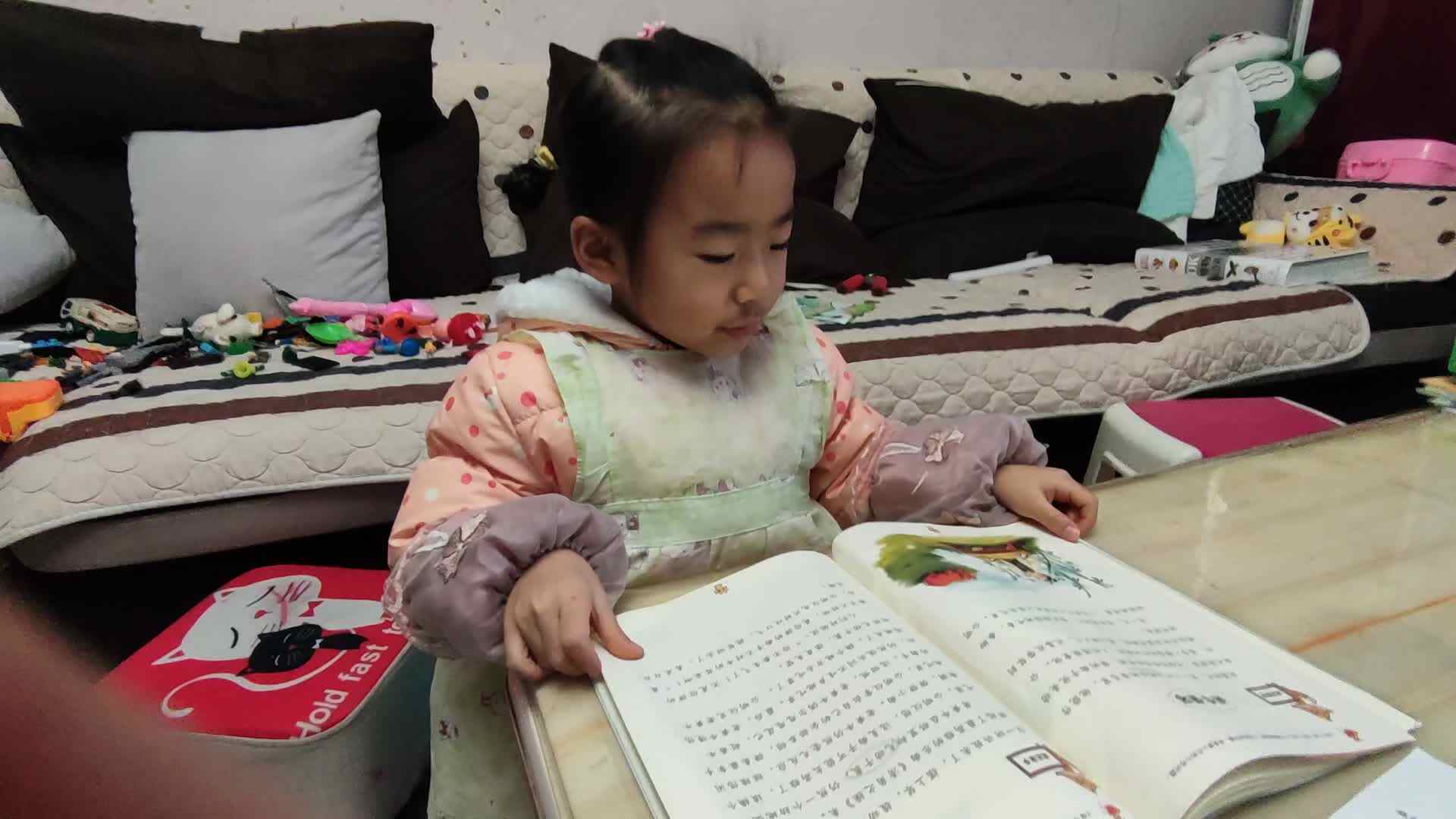 婷婷讲对牛弹琴